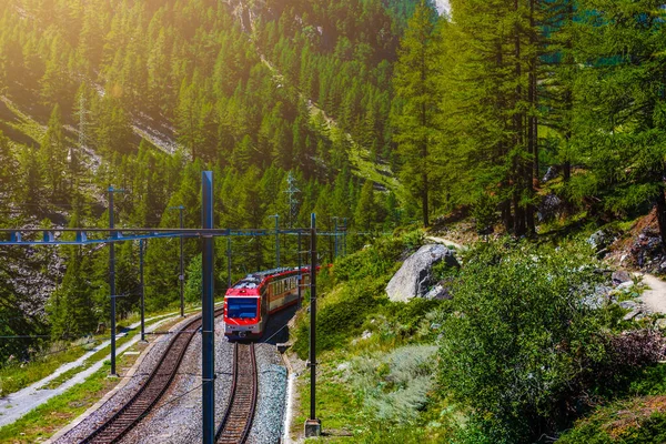 Tren Las Montañas Suiza — Foto de Stock