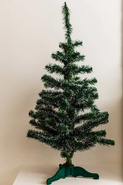 Christmas tree dried up after the Holiday Season