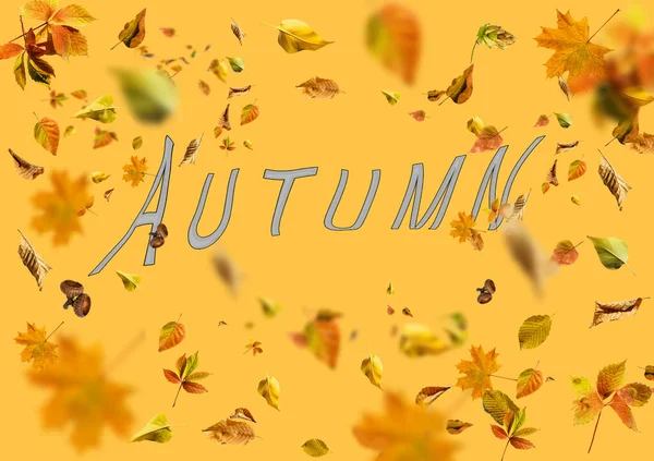 Collection set of beautiful colourful autumn leaves isolated on yellow background — Stock Photo, Image