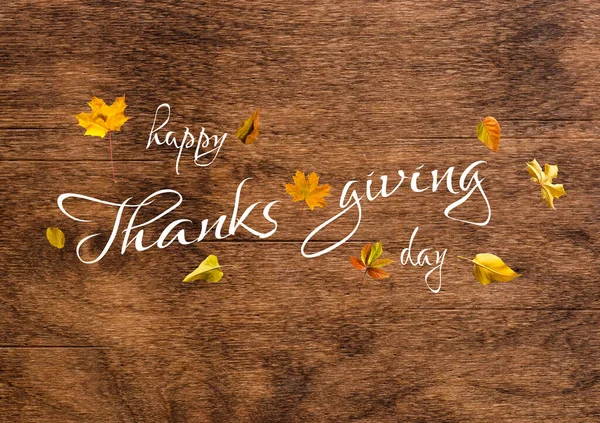 Happy Thanksgiving Greeting, Autumn Leaf Background and text Happy Thanksgiving — Stock Photo, Image
