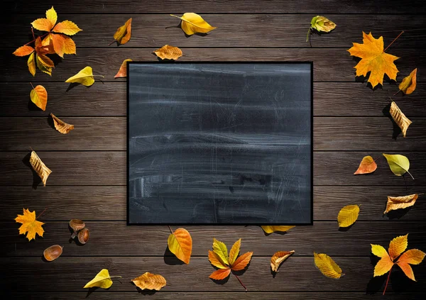 Fundo de outono com folhas de outono. Quadro preto no centro com espaço de cópia para o seu texto. Aconchegante Autumn Still Life. Voltar ao Conceito Escolar. — Fotografia de Stock