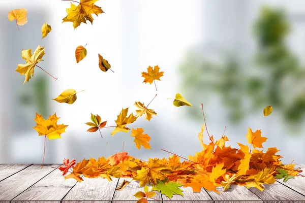 Pile Feuilles Couleur Automne Isolées Sur Fond Blanc Tas Différentes — Photo