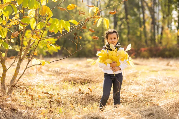 Осінній Портрет Милої Маленької Кавказької Дівчинки — стокове фото