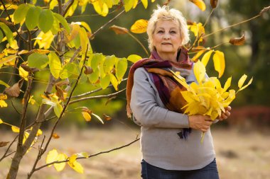 Güzel yaşlı kadın sarı sonbaharın arka planında duruyor.