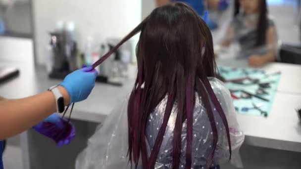 Hairdresser Dyes Hair Little Girl Pink Barber Shop — Stock Video