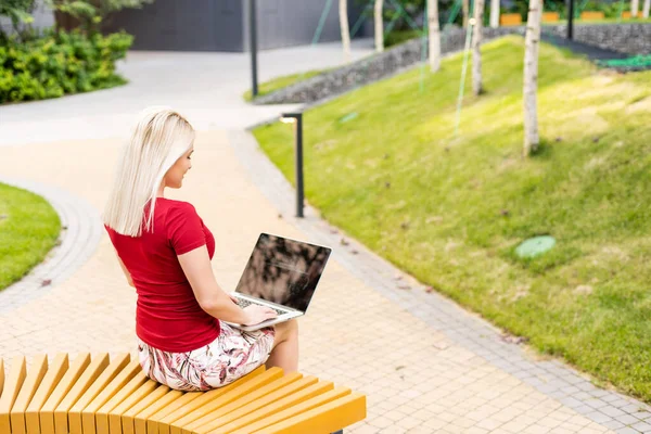 Euphorische Frau Auf Jobsuche Mit Laptop Sommer Einem Stadtpark — Stockfoto