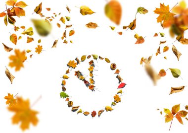 Beyaz arka plandaki yapraklardan gelen saat.