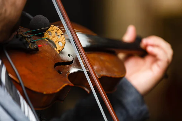 Playing violin, a man plays vintage violin on a concert, close up
