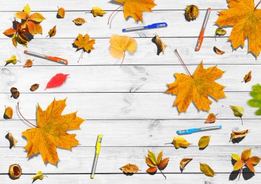 Beyaz arkaplanda sonbahar yaprakları koleksiyonu