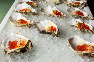 Mavi tabakta taze istiridye, istiridye, limon ve buzla servis edilir. Sağlıklı deniz ürünleri. Restoranda şampanyayla istiridye yemeği. Gurme yemeği. Yüksek kalite fotoğraf