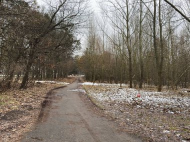  Yol ve ormanlı güneşli bir kış. Yüksek kalite fotoğraf