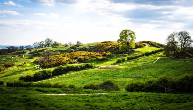 tepeler ve dağ bisiklet parkurları Hadleigh Park yakınındaki Benfleet, Essex, İngiltere