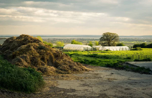 Stapels Voor Het Drogen Van Hooi Buurt Van Een Boerderij — Stockfoto