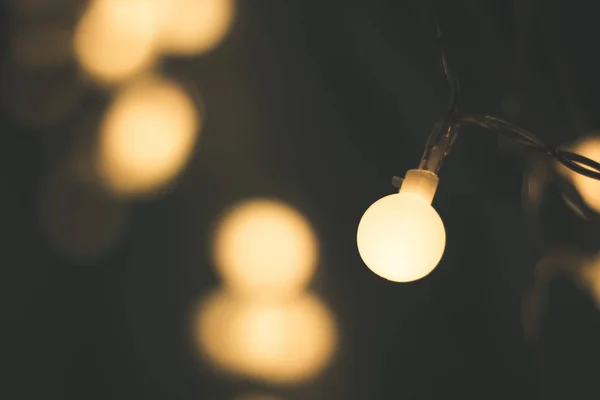 closeup photo of round lights in the garden