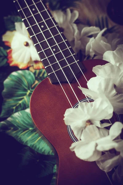 Foto Primer Plano Ukelele Sobre Fondo Exótico — Foto de Stock