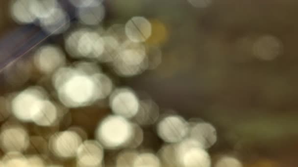 images rapprochées de lumières de Noël bokeh clignotant à différentes vitesses 