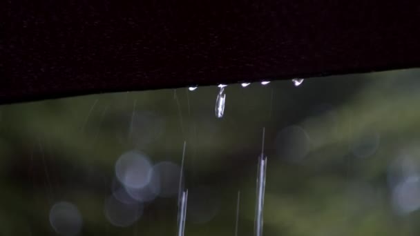 Filmische Beelden Van Regendruppels Die Een Zwarte Parasol Vallen — Stockvideo