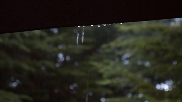 Imágenes Cinematográficas Gotas Lluvia Cayendo Por Una Sombrilla Negra — Vídeo de stock