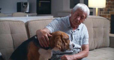 Mutlu büyükbaba evinde köpek köpeğiyle kanepede oturuyor ve onu okşuyor.. 