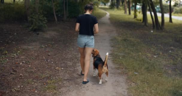 Bígl pes poslušně kráčí vedle svého majitele, dostává odměnu za dobré chování. Chodit se psem do parku. Zadní pohled. — Stock video