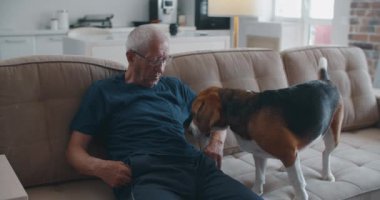 Yaşlı bir adam av köpeğiyle bir kanepede oturuyor. Yaşlı bir sahibin köpekle iletişim kurması. Yakın plan portre
