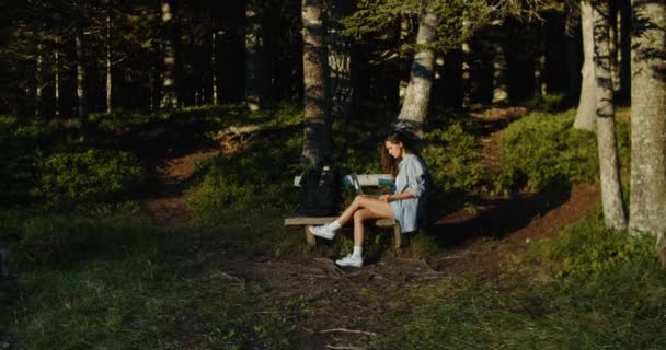 Mulher turista pára na floresta para trabalhar em um laptop. Senta-se em um banco e digita uma mensagem. Contra o pano de fundo da floresta ao pôr do sol — Vídeo de Stock