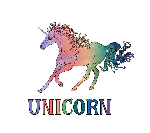 Unicornio skittish dibujado a mano y unicornio de la palabra aislados en el fondo blanco. Ilustración vectorial — Archivo Imágenes Vectoriales