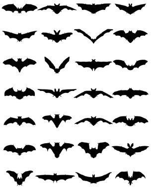 Büyük siyah yarasa siluetleri seti, vektör