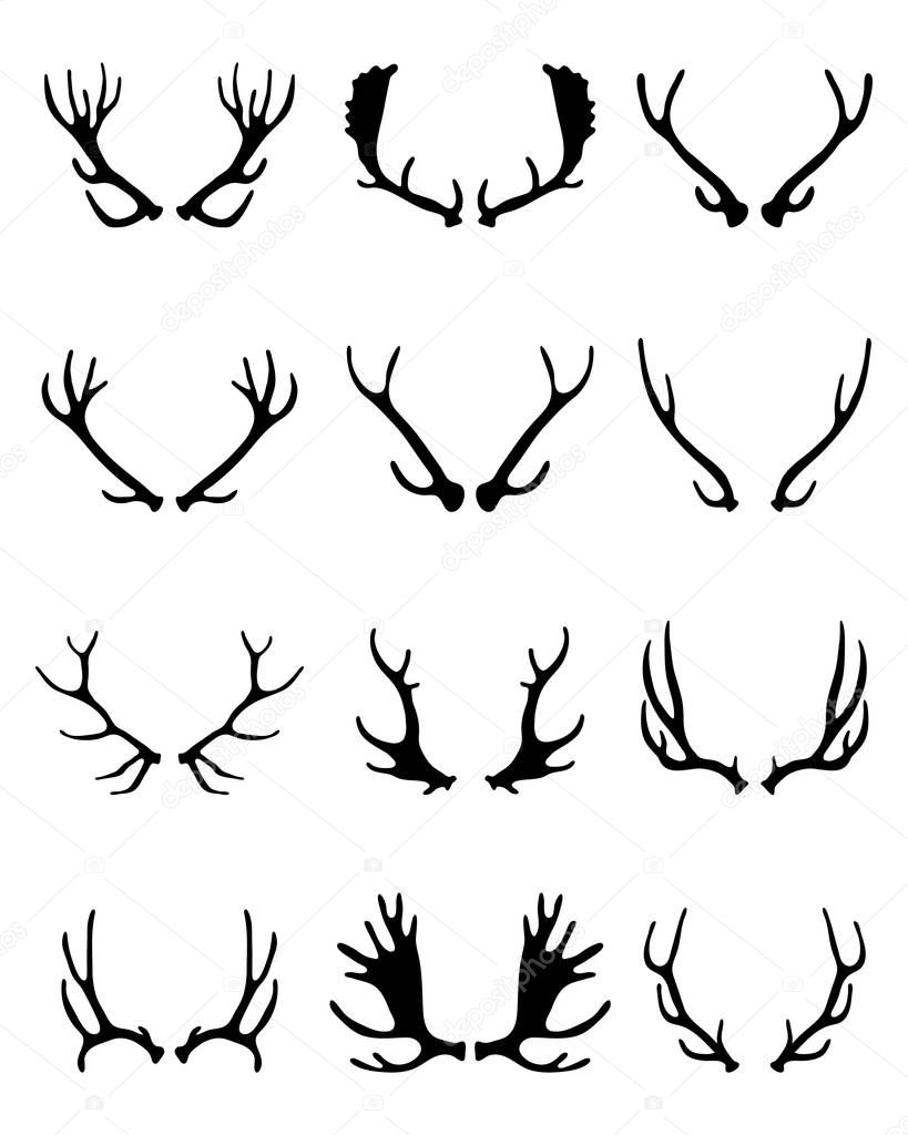 Black silhouettes of different deer horns on a white background