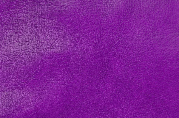 Primer Plano Fondo Cuero Púrpura Natural —  Fotos de Stock