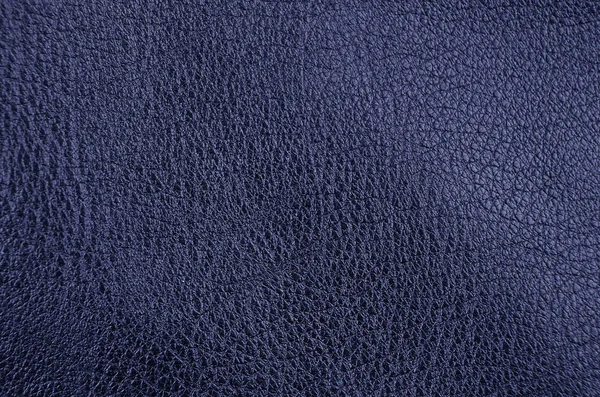 Κοντινό Πλάνο Του Φυσικού Μπλε Δερμάτινο Φόντο — Φωτογραφία Αρχείου