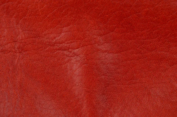 Close Fundo Couro Vermelho Natural — Fotografia de Stock