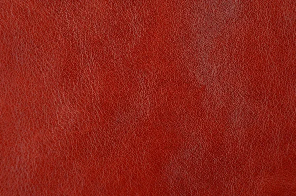 Doğal kırmızı deri arka planı kapat
