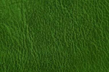 Doğal yeşil deri arka planı kapat
