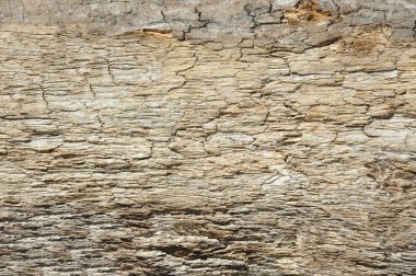 Ahşap desenli arka plan çekimi, kapatın.