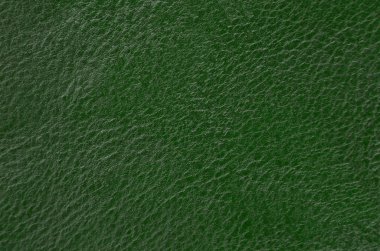 Doğal yeşil deri arka planı kapat