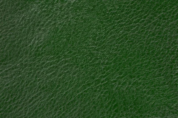 Close Natural Green Leather Background — Stock Photo, Image