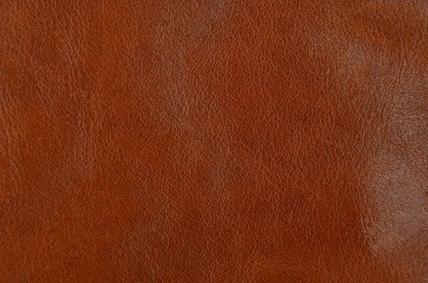Doğal kahverengi deri arkaplanı kapat