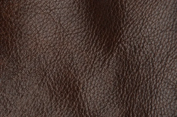 Close Natural Brown Leather Background — Stock Photo, Image