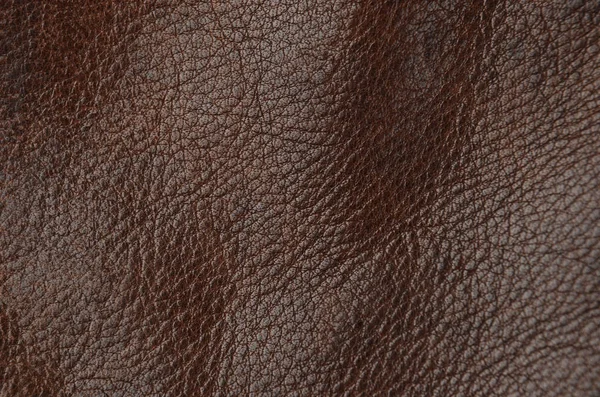 天然棕色皮革背景的特写 — 图库照片