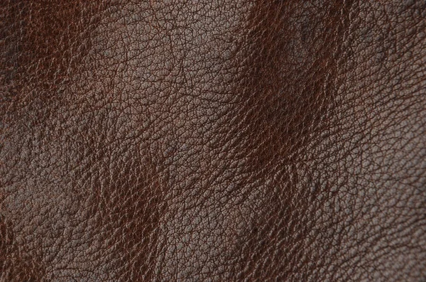 Close Natural Brown Leather Background — Stock Photo, Image