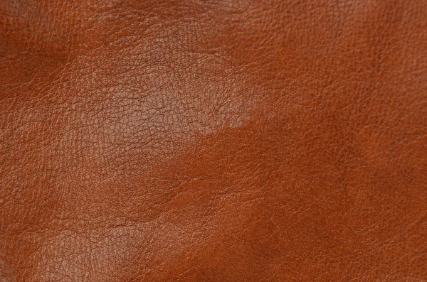 Close Natural Brown Leather Background — Stock Photo, Image