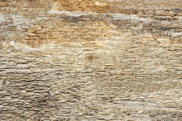 Снимок Деревянного Текстурированного Фона Крупным Планом — стоковое фото