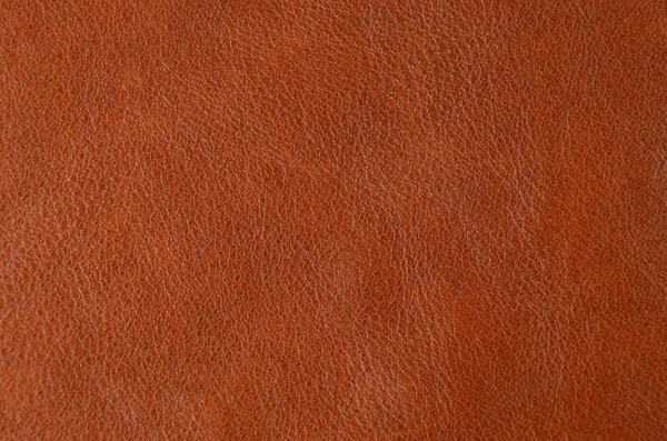 Doğal kahverengi deri arkaplanı kapat