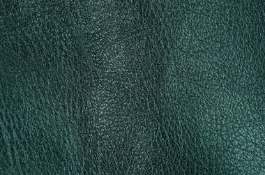 Doğal yeşil deri arka planı kapat