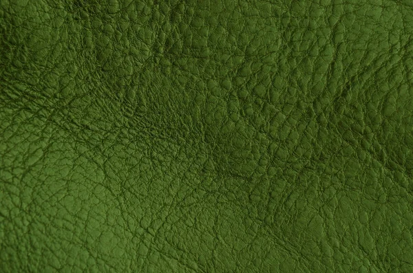 Primo Piano Sfondo Pelle Verde Naturale — Foto Stock