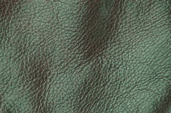 Doğal Kahverengi Deri Arkaplanı Kapat — Stok fotoğraf