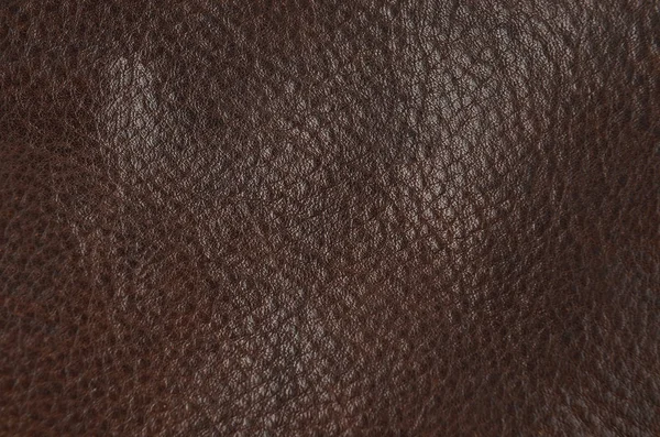 Close Natural Brown Leather Background — Stock Photo, Image