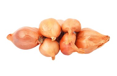 Beyaz arka plan üzerinde izole kırmızı soğan ampul