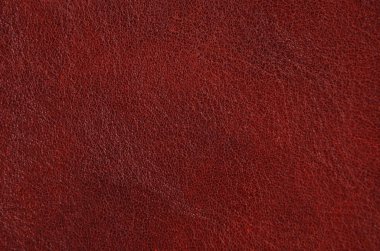 Doğal kahverengi deri arkaplanı kapat